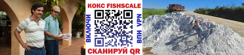 МЕГА как войти  Северо-Курильск  COCAIN Fish Scale 