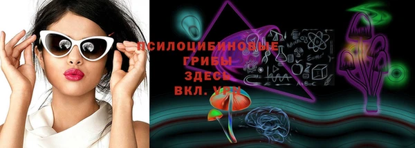 стафф Арсеньев