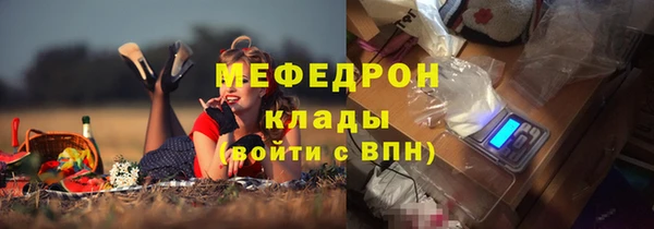 стафф Арсеньев