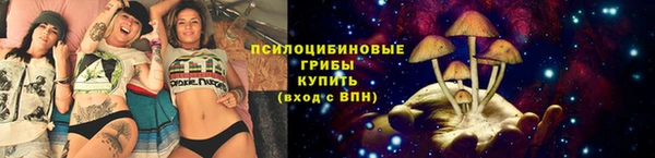 марки nbome Аркадак