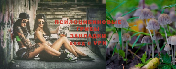 apvp Балабаново