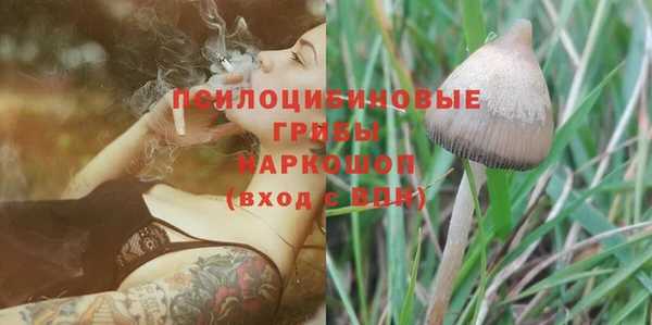 стафф Арсеньев