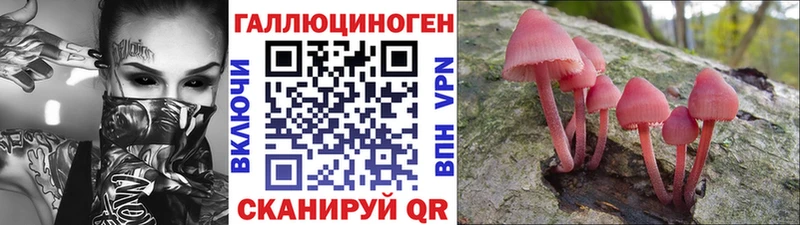 Псилоцибиновые грибы Psilocybine cubensis  shop официальный сайт  Северо-Курильск 